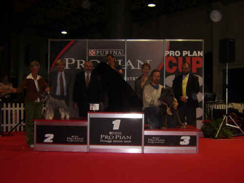 podio proplan cup 2006